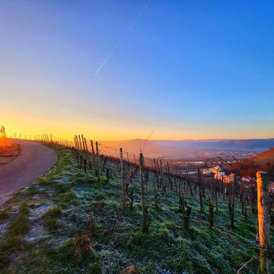 Ferienwohnung An Der Mosel Конц Экстерьер фото